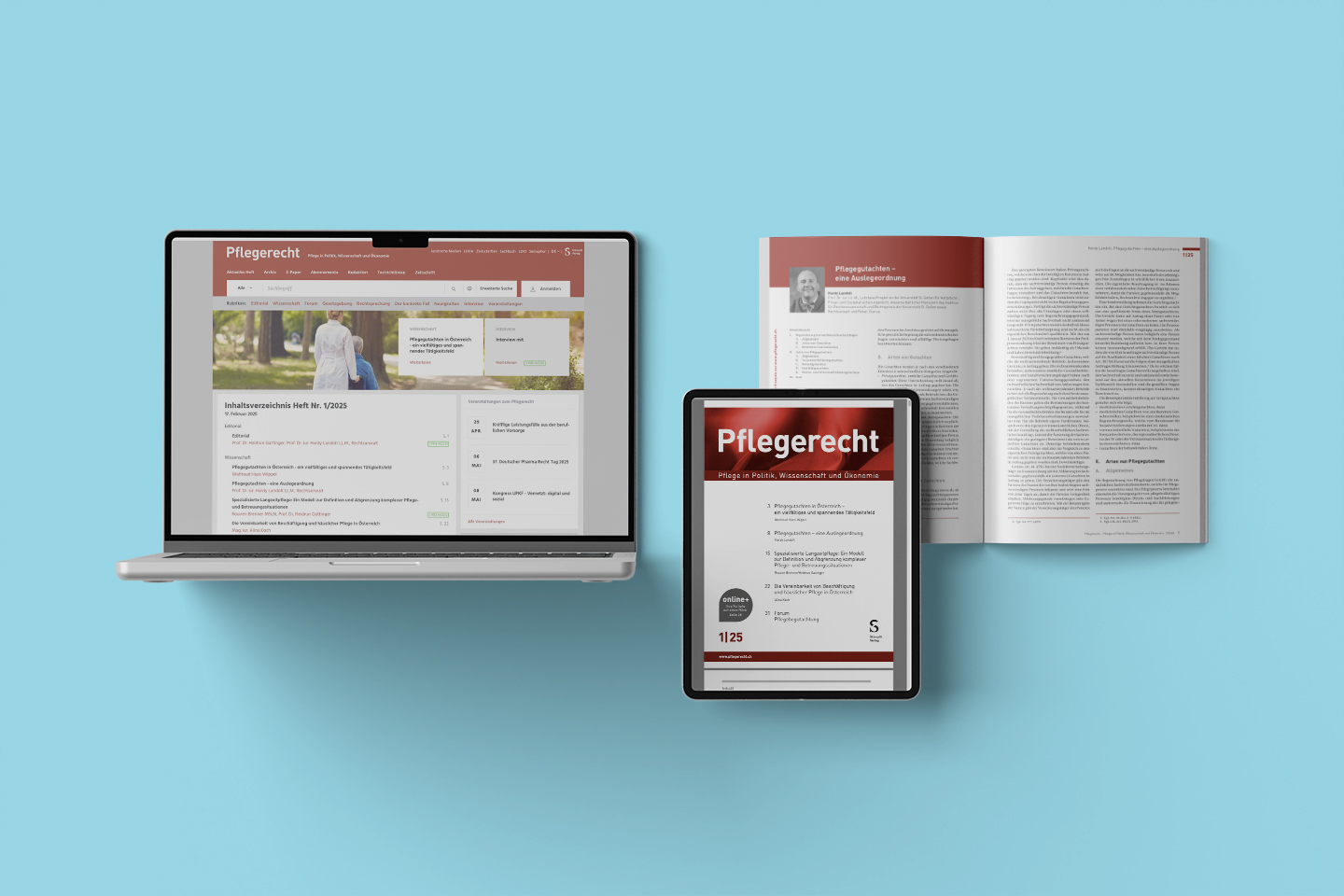 Pflege in Politik, Wissenschaft und Ökonomie